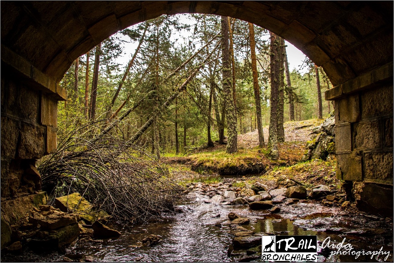 tunel web