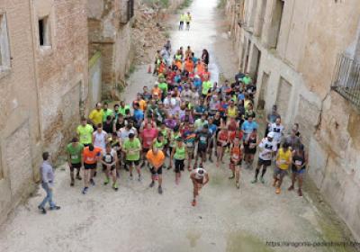 XIII OLIVERA EXTREM