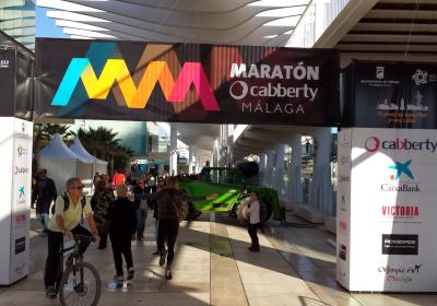 Maratón de Málaga 2013